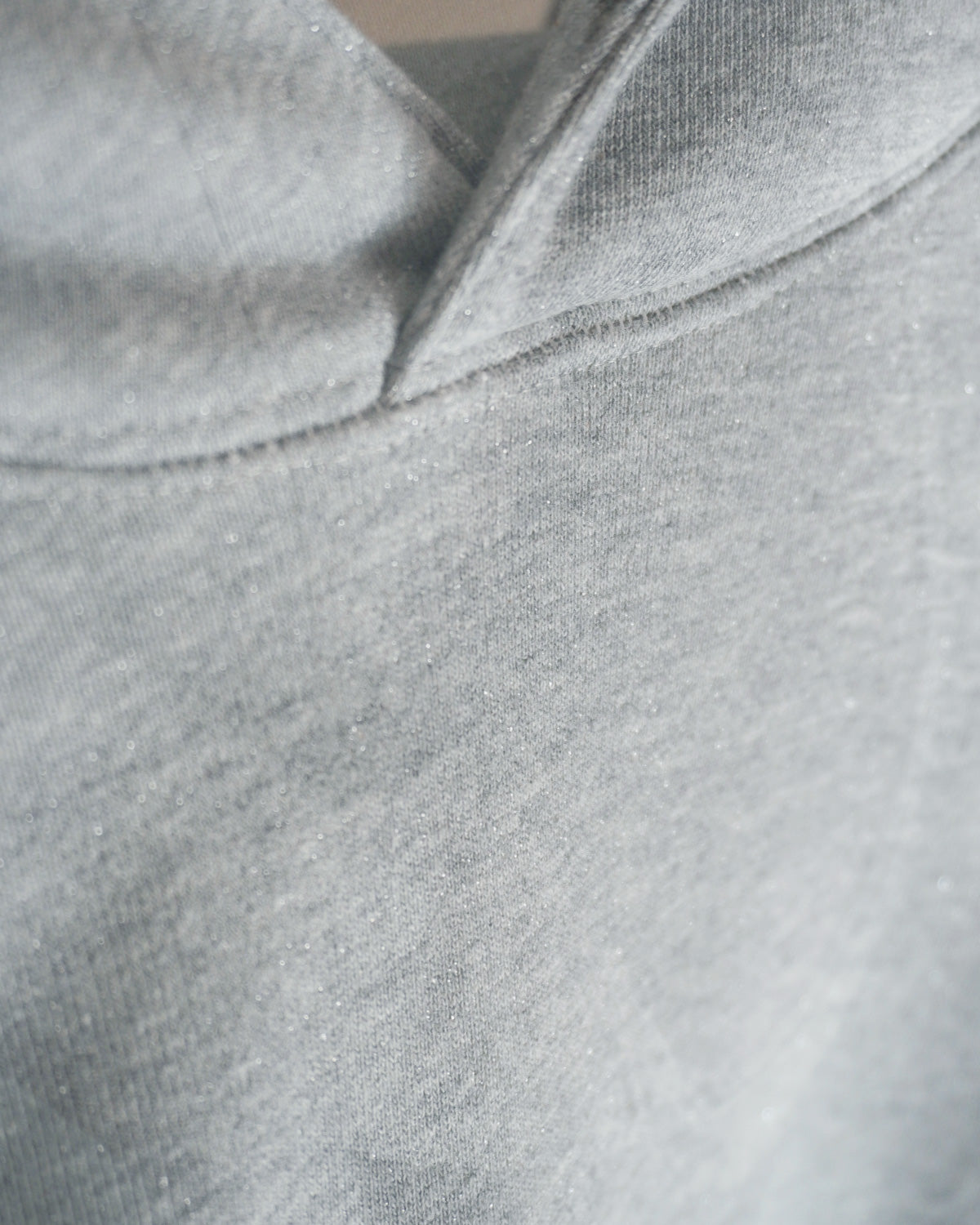 Hoodie (Ha)