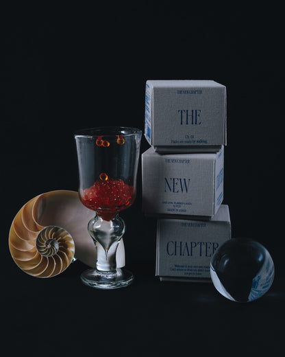 THE NEW CHAPTER CONDOM