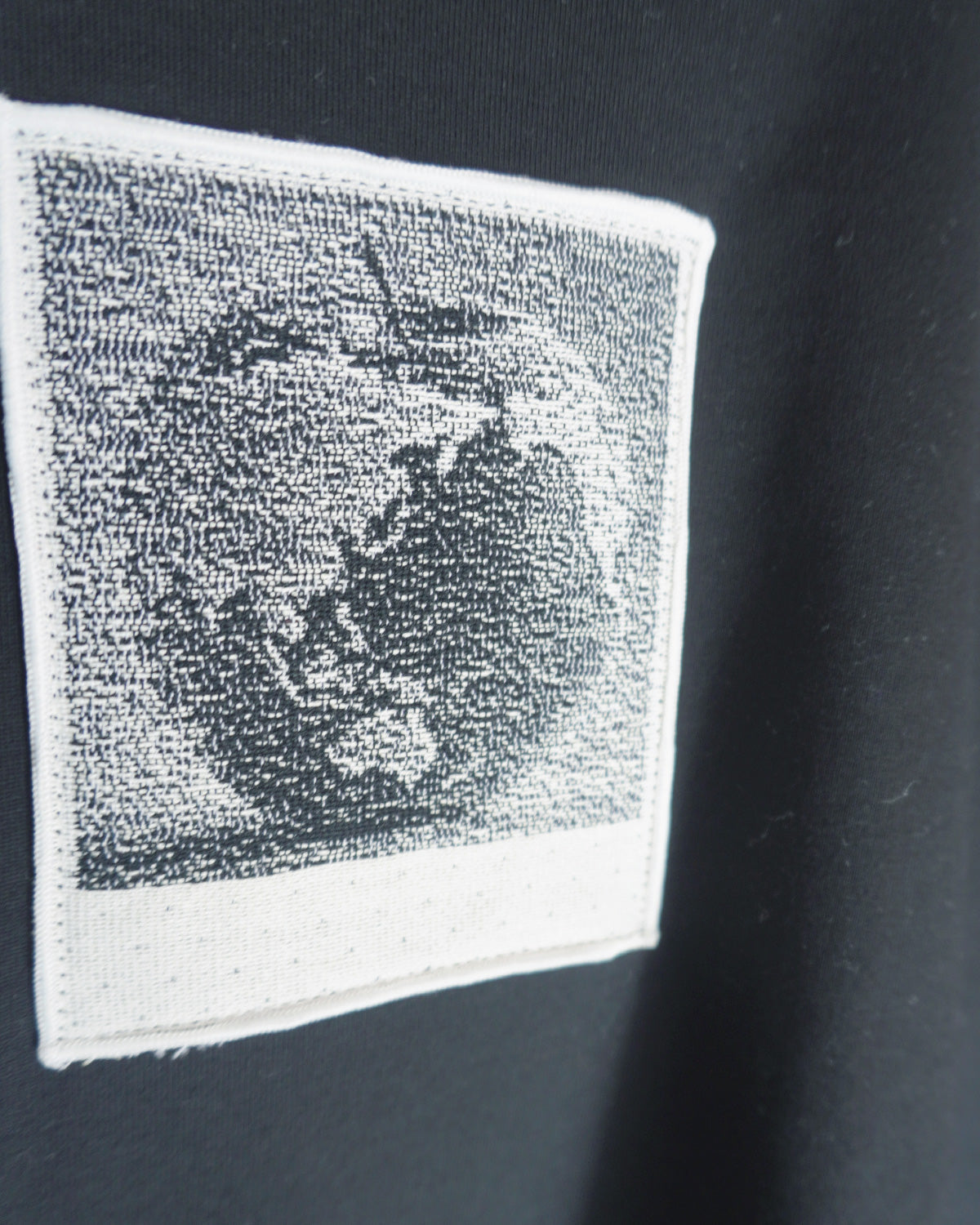 T-shirt Apple Earth (black)