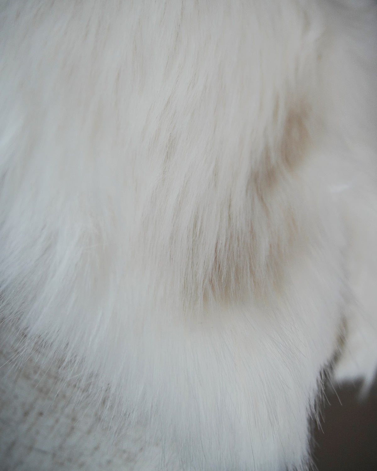 cloud tippet