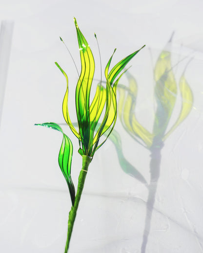 DESERT FLOWER（ユリ）