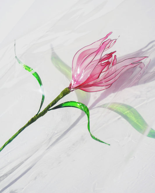DESERT FLOWER（チューリップ）